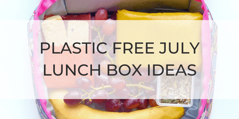 Plastic-free snack/lunch box challenge