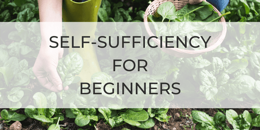 Self-sufficiency for Beginners - Little Bumble Reusable Food Wraps