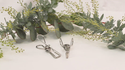 Stainless Steel Clothes Pegs (Marine Grade 316) - Set of 10