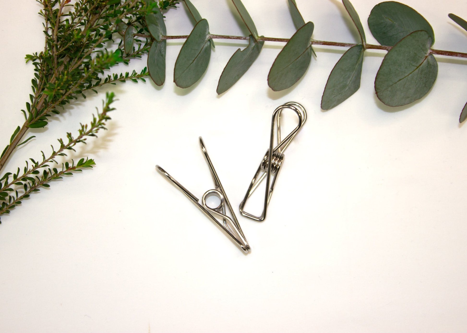 Stainless Steel Clothes Pegs (Marine Grade 316) - Set of 30 - Little Bumble Reusable Food Wraps