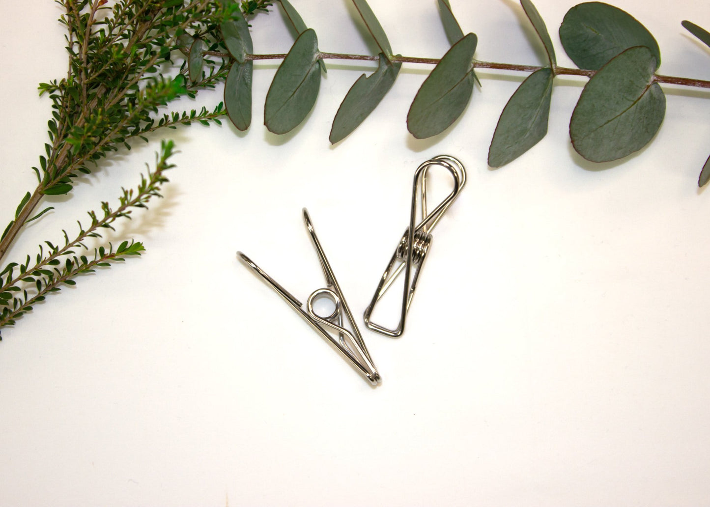 Stainless Steel Clothes Pegs (Marine Grade 316) - Set of 60 - Little Bumble Reusable Food Wraps