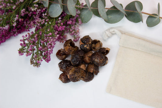 Organic Soap Nuts - Tester (Approx. 5 Washes) - Little Bumble Reusable Food Wraps